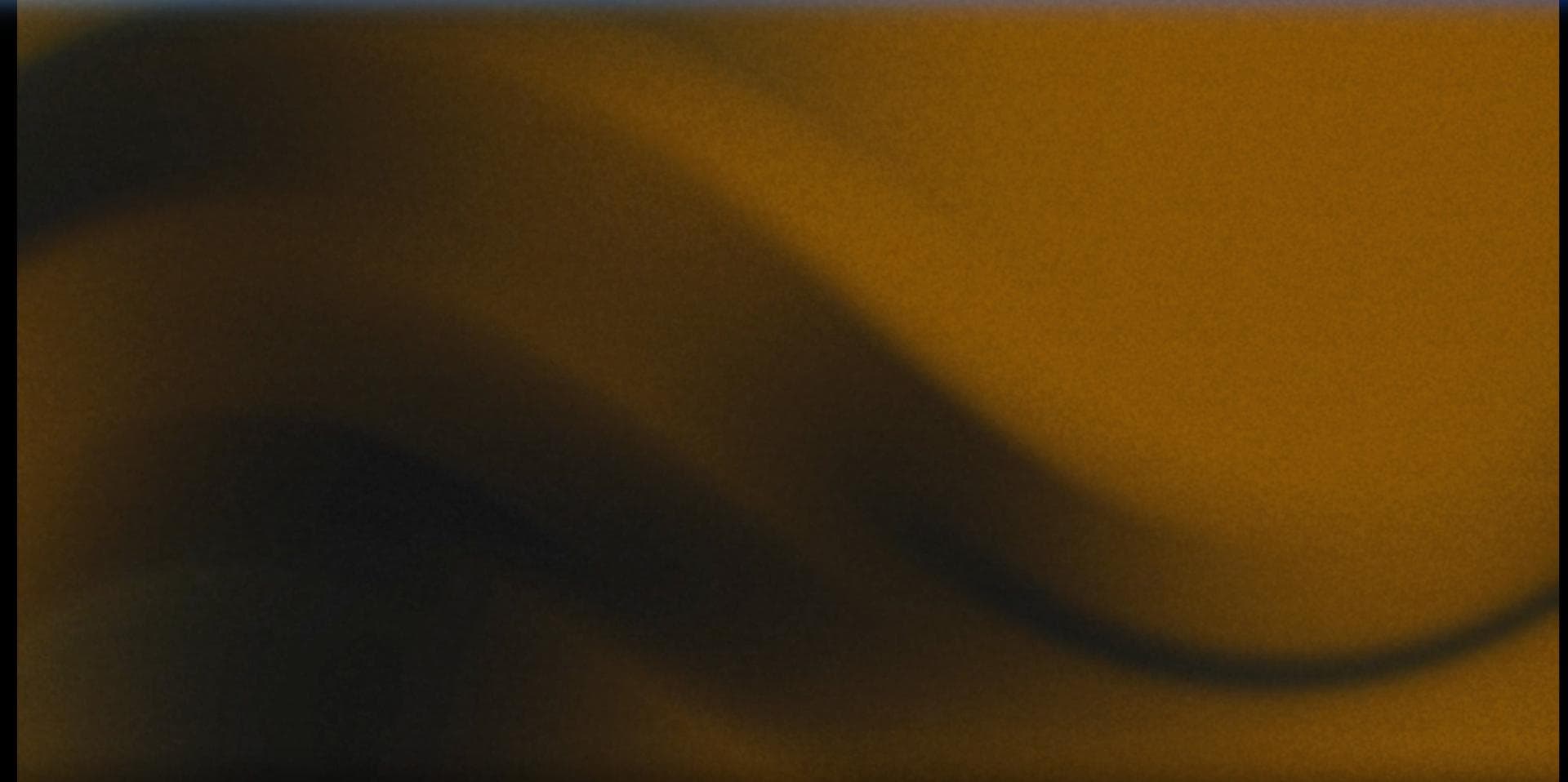 Animation Fond Papywoss